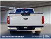 2024 Ford F-150 XLT (Stk: PS082) in Kamloops - Image 4 of 32