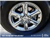2024 Ford F-150 XLT (Stk: PS082) in Kamloops - Image 10 of 32