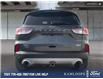 2020 Ford Escape SEL (Stk: P5098A) in Kamloops - Image 5 of 26