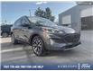 2020 Ford Escape SEL (Stk: P5098A) in Kamloops - Image 26 of 26