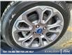 2021 Ford EcoSport Titanium (Stk: DS096A) in Kamloops - Image 10 of 35