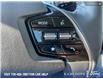 2023 Kia Niro EV Premium+ (Stk: 9K2435) in Kamloops - Image 13 of 21