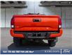 2018 Toyota Tacoma TRD Sport (Stk: T5080A) in Kamloops - Image 5 of 26