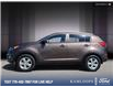 2015 Kia Sportage LX (Stk: 5T0149A) in Kamloops - Image 3 of 25