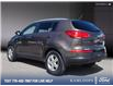2015 Kia Sportage LX (Stk: 5T0149A) in Kamloops - Image 4 of 25