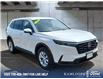 2025 Honda CR-V LX (Stk: TR775A) in Kamloops - Image 7 of 33