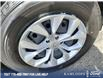 2025 Honda CR-V LX (Stk: TR775A) in Kamloops - Image 10 of 33