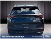 2025 Kia Sportage  (Stk: 9K2449) in Kamloops - Image 5 of 21