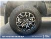 2023 Ford F-150 Tremor (Stk: 25P078) in Kamloops - Image 6 of 26