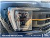 2023 Ford F-150 Tremor (Stk: 25P078) in Kamloops - Image 8 of 26