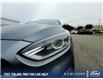 2019 Kia Forte EX (Stk: 5L0300A) in Kamloops - Image 8 of 24