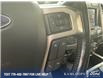 2020 Ford F-350 Platinum (Stk: T6001B) in Kamloops - Image 16 of 25