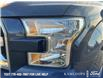 2016 Ford F-150 XLT (Stk: 5P108A) in Kamloops - Image 8 of 25