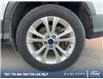 2017 Ford Escape SE (Stk: 5P124B) in Kamloops - Image 6 of 25