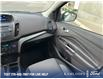 2017 Ford Escape SE (Stk: 5P124B) in Kamloops - Image 25 of 25