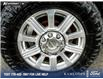 2019 Ford F-350 Limited (Stk: PS219AA) in Kamloops - Image 6 of 24