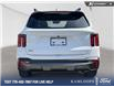 2024 Kia Sorento 2.5T X-Line (Stk: 9K2623) in Kamloops - Image 5 of 23