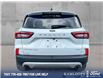 2025 Ford Escape Platinum (Stk: 26P097) in Kamloops - Image 5 of 25