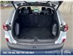 2025 Ford Escape Platinum (Stk: 26P097) in Kamloops - Image 12 of 25