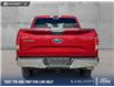 2017 Ford F-150  (Stk: TS791A) in Kamloops - Image 5 of 25