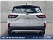 2025 Ford Escape Platinum (Stk: 26P098) in Kamloops - Image 5 of 25