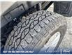 2026 Ford Ranger XL (Stk: 26P099) in Kamloops - Image 7 of 25