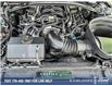 2019 Ford Mustang BULLITT (Stk: PT070) in Kamloops - Image 8 of 23 2019 Ford Mustang BULLITT (Stk: PT070) in Kamloops - Image 8 of 23