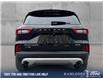 2025 Ford Escape Platinum (Stk: 26P096) in Kamloops - Image 5 of 25