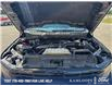 2024 Ford F-150 XLT (Stk: 26P101) in Kamloops - Image 8 of 25
