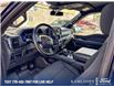 2024 Ford F-150 XLT (Stk: 26P101) in Kamloops - Image 13 of 25