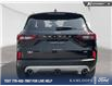 2024 Ford Escape PHEV (Stk: 9K2639) in Kamloops - Image 5 of 23