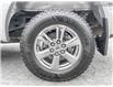 2020 Ford F-150 Lariat (Stk: 22P226) in Kamloops - Image 26 of 26