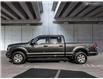 2019 Ford F-150 XLT (Stk: T2460A) in Kamloops - Image 3 of 26