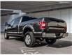 2019 Ford F-150 XLT (Stk: T2460A) in Kamloops - Image 4 of 26