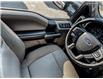 2019 Ford F-150 XLT (Stk: T2460A) in Kamloops - Image 17 of 26