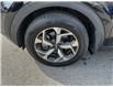 2020 Kia Sportage LX (Stk: 9K1788A) in Kamloops - Image 10 of 33