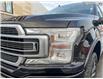 2019 Ford F-150 Limited (Stk: 23P038) in Kamloops - Image 8 of 26