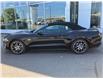 2022 Ford Mustang EcoBoost Premium (Stk: 2204800) in Ottawa - Image 5 of 20