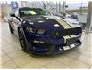 2016 Ford Shelby GT350 Base (Stk: 2205221) in Ottawa - Image 3 of 15