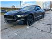 2022 Ford Mustang GT Premium (Stk: 2207460) in Ottawa - Image 1 of 18