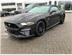 2022 Ford Mustang GT Premium (Stk: 2207410) in Ottawa - Image 1 of 19