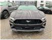 2022 Ford Mustang GT Premium (Stk: 2207410) in Ottawa - Image 2 of 19