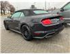 2022 Ford Mustang GT Premium (Stk: 2207410) in Ottawa - Image 4 of 19
