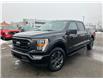 2023 Ford F-150 XLT (Stk: 2300170) in Ottawa - Image 1 of 5