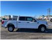 2023 Ford F-150 XLT (Stk: 2300580) in Ottawa - Image 1 of 6