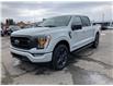 2023 Ford F-150 XLT (Stk: 2300830) in Ottawa - Image 1 of 17