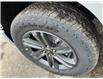 2023 Ford F-150 XLT (Stk: 2300830) in Ottawa - Image 7 of 17
