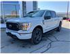 2023 Ford F-150 XLT (Stk: 2300780) in Ottawa - Image 1 of 23