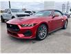 2024 Ford Mustang GT Premium (Stk: 2400120) in Ottawa - Image 1 of 11