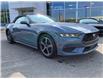 2024 Ford Mustang EcoBoost Premium (Stk: 2400190) in Ottawa - Image 3 of 13